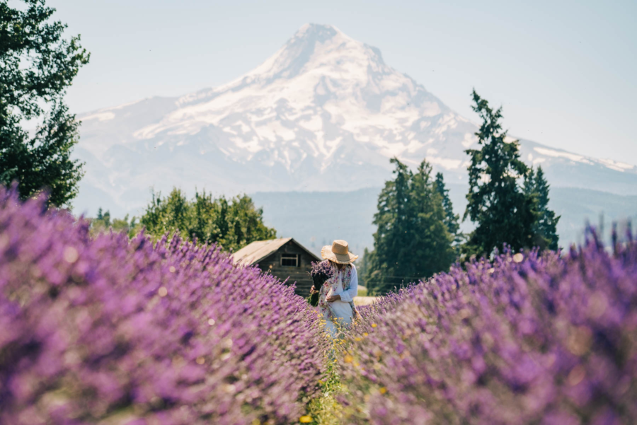The Beauty of Eugene’s Blooming Farms and the Magic of the Pacific Northwest Climate