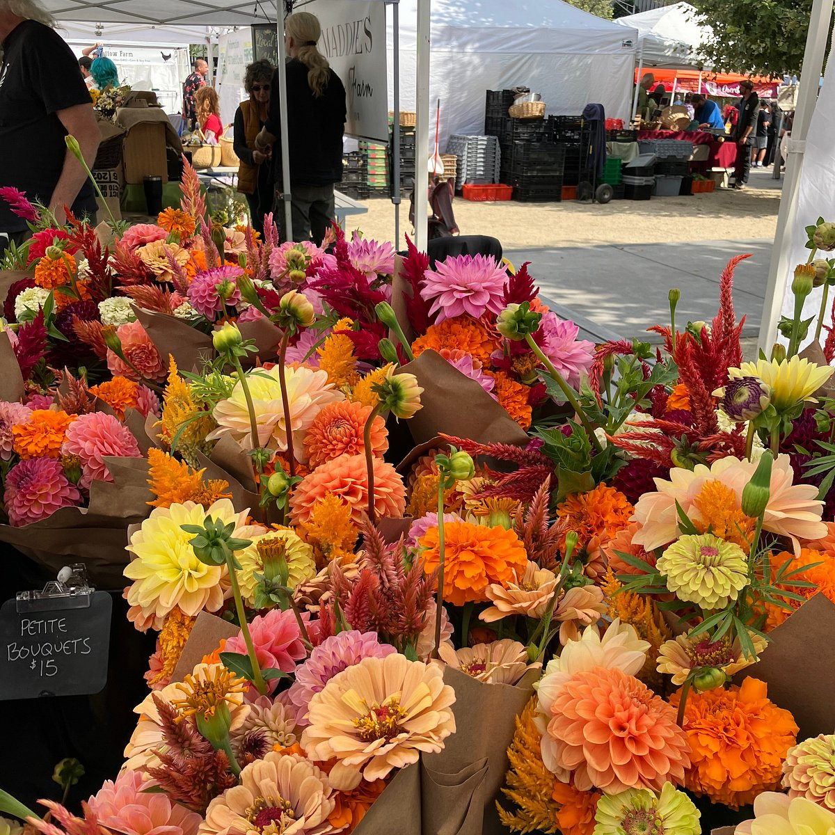 The Ultimate Eugene City Guide – Shopping, Culture, and Green Spaces